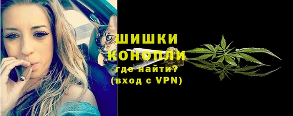 шишки Кинешма