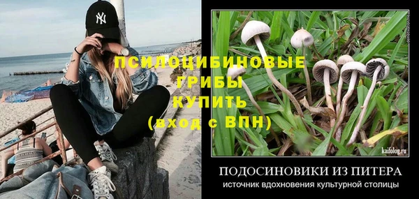 шишки Кинешма