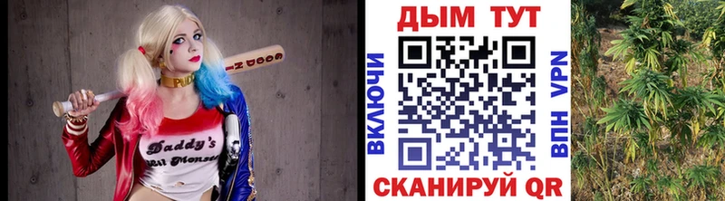Купить где  Острогожск  Канабис MAZAR 